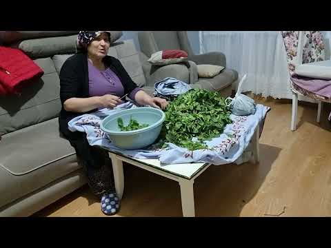 HATİCE HANIM EFKARLANMIŞ AYIKLA AYIKLA BİTMEZ BAKALIM NELER