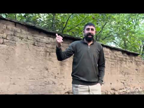 Gümüş yavrulara daldı