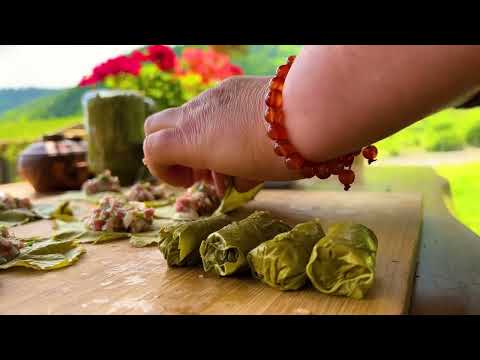 Azerbaijani Dolma made from Grape Leaves harvested in the