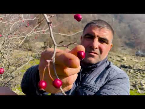 ROAST JIZ BYZ DELICIOUS TRADITIONAL AZERBAIJANI DISH