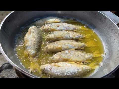 Cooking Fish from Our Lakes Fried Fish Outdoors in the