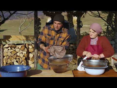 Making Homemade Olive Oil Nature s Liquid Gold Best Village