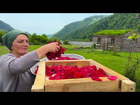 A Day in the Village Picking Poppies and Making Sweet Jam