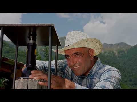 Harvesting Sunflowers and Making Homemade Oil in a Mountain
