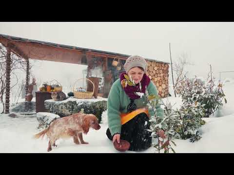How Olive Oil is Made The Traditional Way In The Village