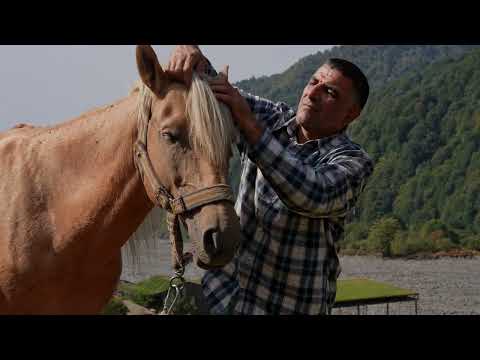 Kimchi Like Never Before Rustic Village Cooking