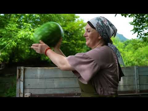 Best Recipe for Summer Making Fresh Country Watermelon