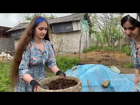 Spring Farm Life Preparing Soil Sifting Manure and Clearing
