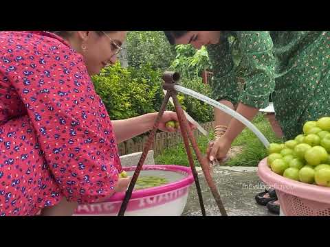 From Fresh Plums to Homemade Plum Paste Peaceful Village