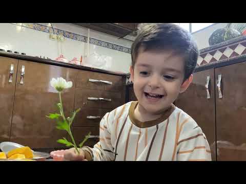Rural Life Yalda Night Prep Pumpkin Beets and Family Moments