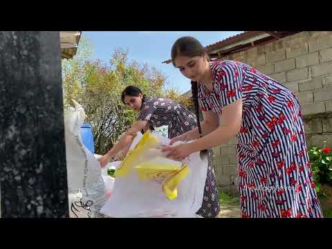 Village Farming Series Part 1 Soaking Barley Seeds for Rice