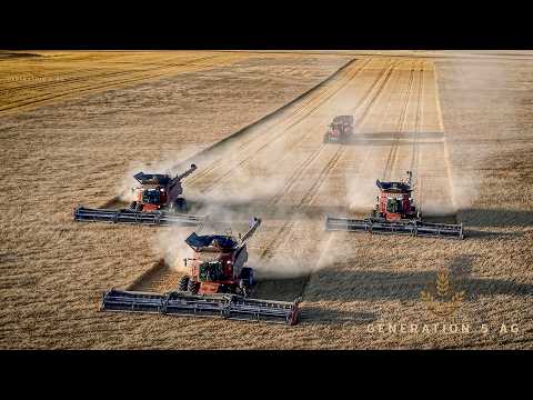 HARVEST 2026 3 CASE IH COMBINES Harvesting DURUM WHEAT
