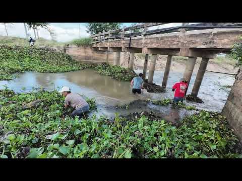 Mission Complete Massive Bridge Rescue After Removing a