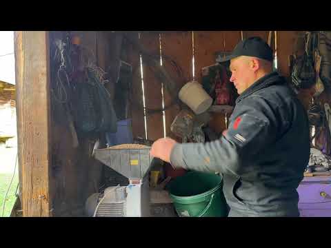 Living Alone in the Carpathians Homemade Soup Planting