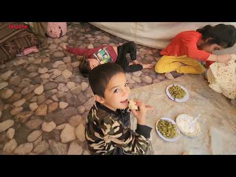 Soheila s new life with the help of a stranger Will Soheila