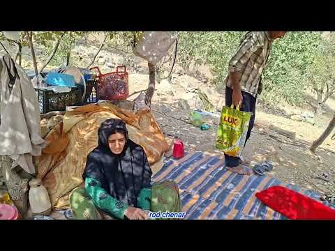 Nomadic Life Catching fish building a shelter for a lost