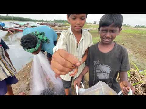 Net Fishing Videos Traditional Cast Net Fishing in River