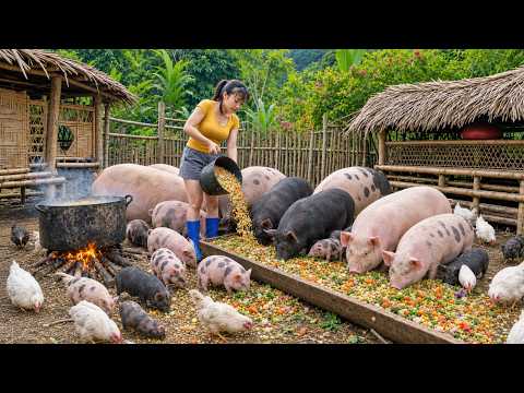 She Fed Mother Pigs Piglets Chickens All at Once Biggest