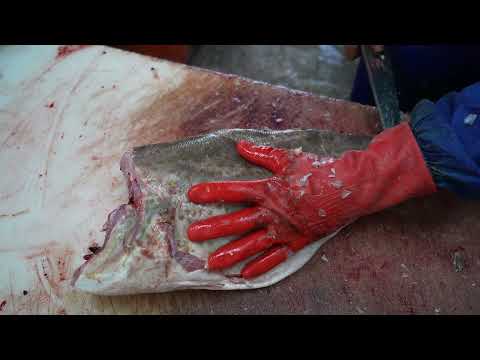 You Won t Believe This Fishmonger s Knife Skills Fish