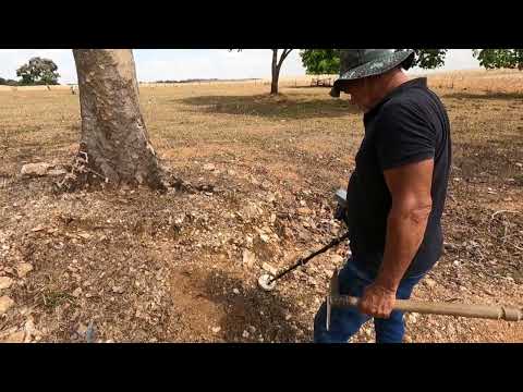 OLHA AS PEPITAS DE OURO QUE ACHEI COM DETECTOR