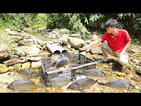 Lam s method of trapping fish using PVC pipes helped him