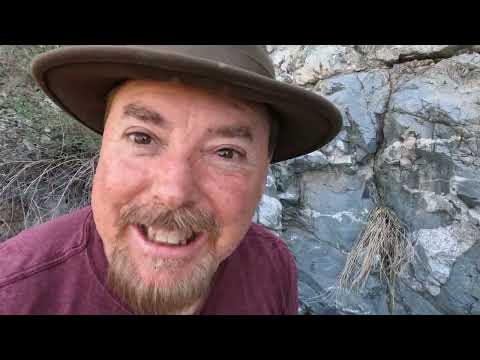 The Easiest GOLD You Can Find After a Flood