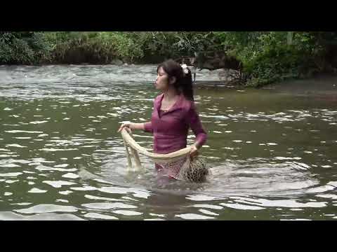 Full Video Traditional Fishing in the Stream Using Trawl