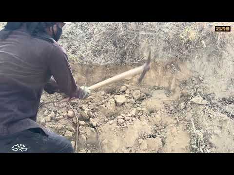 Title Hunting for Legend s Gold in the Most Isolated Forest