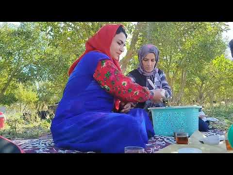 Autumn Apple Harvest in Iran Village Life Wood Fired