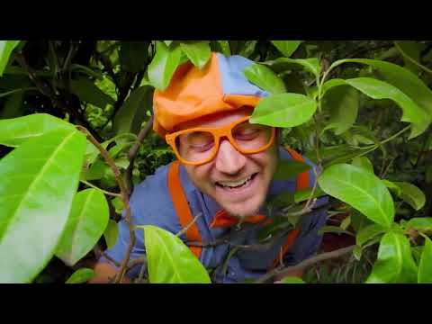 Vamos aprender as cores do Outono com o Blippi Blippi em