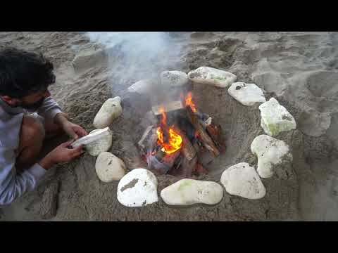 SURVIVAL CHALLENGE NO FOOD NO WATER NO SHELTER Catch and
