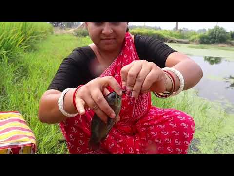 Fishing Video Skillful Girl Catches Fish with a Hook