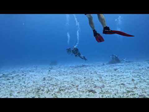 Scuba 507 13 Diving Cozumel