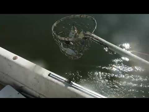 Johnboy s Seafood Treasure