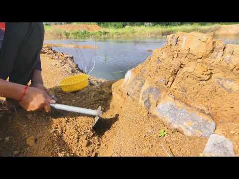 Digging for Treasure Uncovering Huge Gold Nuggets