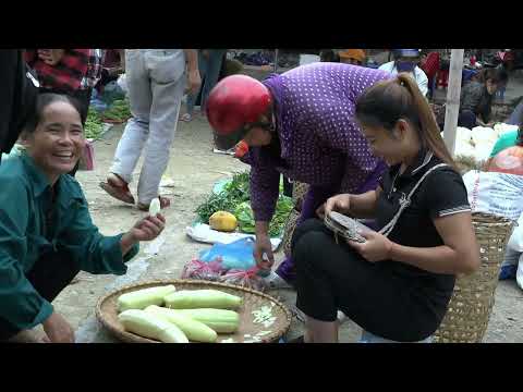 Harvest melons and cast iron to sell at the market get