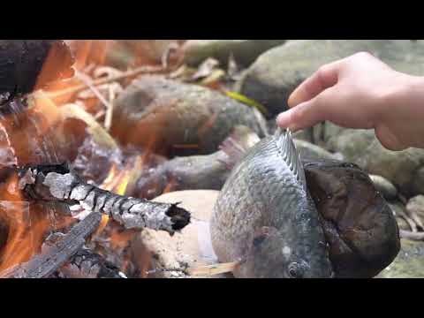 how to use net to catch fish grill fish on rocks natural