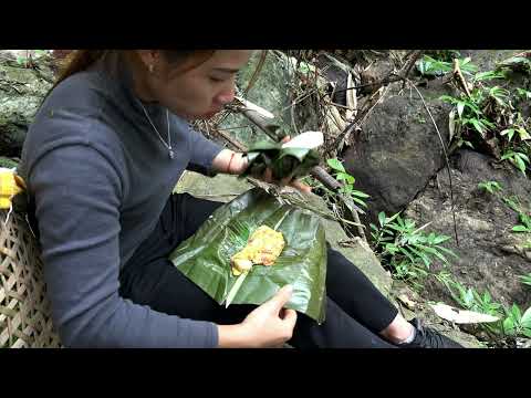 HARRVEST Jiaogulan Vegetables Duck Eggs Brought To The
