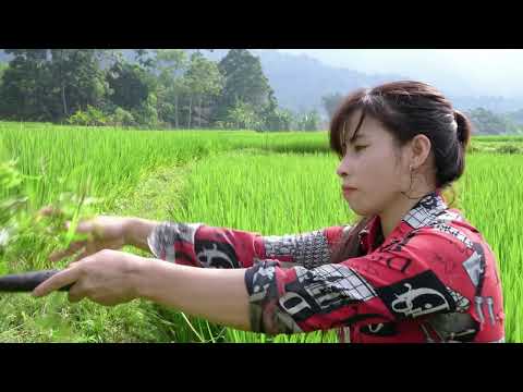 How to prepare dishes from frogs and field frogs