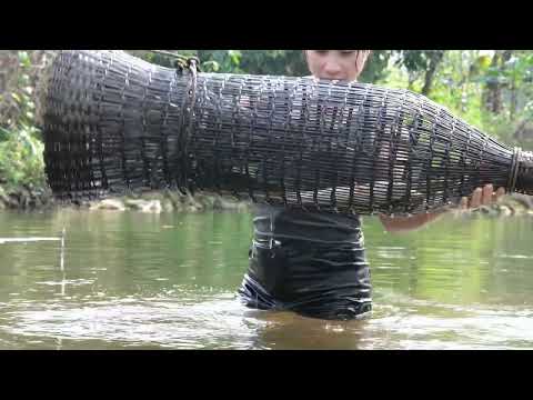 How to trap stream fish catfish and catch a lot of fish
