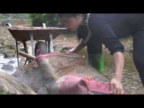 how people move a 10 ton stilt house moving and repairing