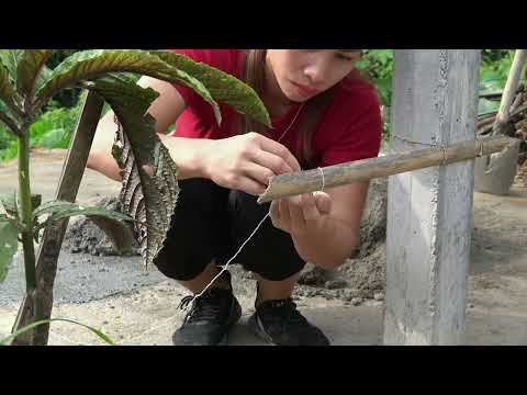 Farm Building Cabin Roofing Concrete Brick Wall