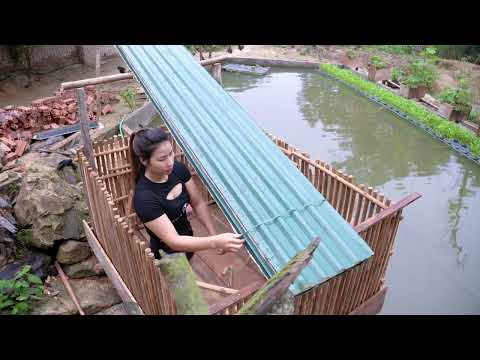 Build a new house for the ducks alone love bird live with