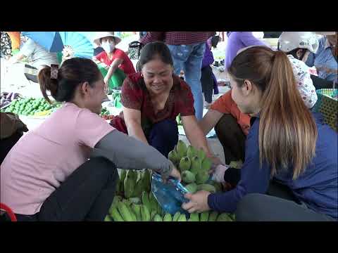 Harvesting Bananas Bring to the Market to Sell Lily and