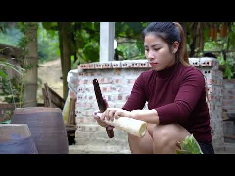 Harvesting bamboo shoots cooking living with nature triệu