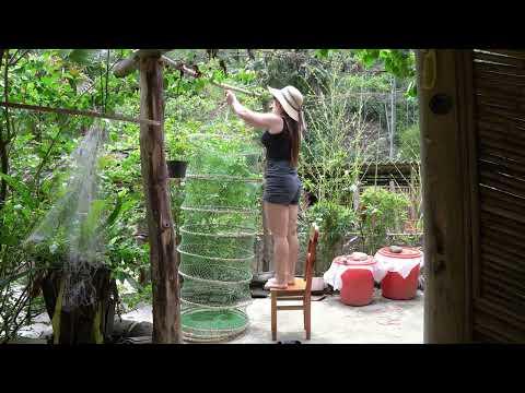 Handcrafting a 5 meter fish trap testing my luck by the