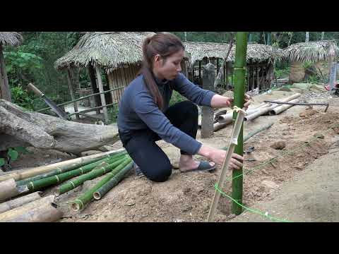 Farm Life Build Loofah Truss Bamboo bridge Pet Care