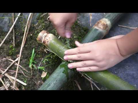 how to make a fish trap make your own bamboo fishing boat