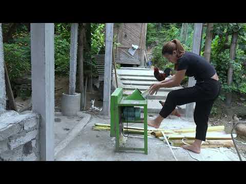 How To Building a Fish Shirt Aquarium Farm Life Triệu Lily