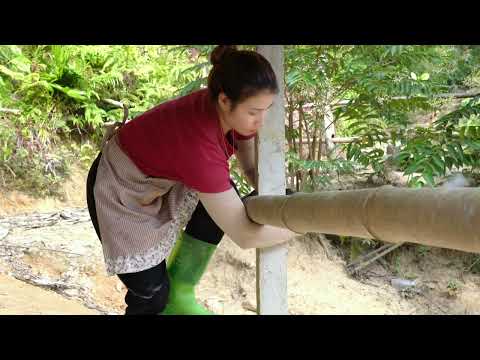 238 Destroy the chicken coop to build a new structure life
